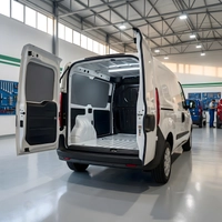 Allestimento Fiat Doblò (anno dal 2010 al 2021) L1H1